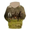Herren Hoodies 2022 Mode Sweatshirt Männer / Frauen 3D Pferd Tier Muster Unisex Streetwear Kapuzen Winter Hoodie Pullover Print Tops