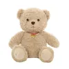 Bear Doll Hug Bear Doek zuster poppen kussen kinderen comfort pluche speelgoed verjaardagscadeau 25 cm