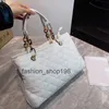 Rétro Tortoiseshell Nouveau Designer Totes Sacs Français Grande Capacité Sac À Main Matelassé Épaule Chaîne Sac Femmes Haute Qualité Sac À Provisions Chaud F