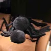 1 st 20cm80cm llifelike Cuddles Simulation Spider Plush Svår leksak Big Size Reallife Spider Throw Pillow LDREN Toy Gift J220729