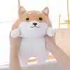 3555Cm Cute Fat Shiba Inu Dog Cuddle Cartoon Animal Soft Pillow Toy Gift For ldren baby ldren Hot Cuddle J220729