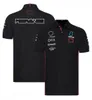 T-shirt F1 pour hommes, POLO de course à revers, uniforme d'équipe de nouvelle saison, personnalisé, décontracté, respirant, vêtements à séchage rapide