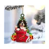 Decorazioni natalizie Decorazioni natalizie Anno Bellissimi ornamenti per l'albero di Natale Decorazione appesa Simpatico prodotto per gatti Famiglia personalizzata Dhsij