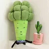1PC 5565cm Cartoon Végétable Cuddle Creative Broccoli PLUSH PILLOW LDREN COUDDLES LDREN CADEAU ANNIVERSAIRE WJ126 J220729