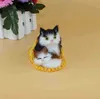 1pc 10cmミニ美しいシミュレーション猫抱きポップポップldren ToysLdrenバースデーギフトポップデコレーションJ220729