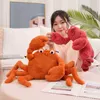 3060cm dessin animé doux en peluche crabe cancer jouet simulation animal peluche oreiller poupées remplies pour enfants enfants cadeaux d'anniversaire J220729