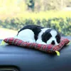 Około 26 cm słodkie bambusowe węgiel drzewny Plush zabawki nadziewane lalki Piękne zwierzęce pies panda kota husky oczyszczanie samochodu Zabawki J220729