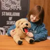 1Pc 4070Cm Simulation Labrador Cuddle Creative Realistic Animal Puppy Dolls Stuffed Soft Toys For Kids Birthday Gift J220729