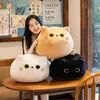 1855cm Mooie Cat Plushie speelgoed Schattig vet kussen kussen gevuld zacht dieren kussen squishy speelgoed voor ldren meisjes Xmas Gifts J220729