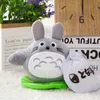 Новый Totoro Cuddle 20см 30 см маленький размер японский аниме фигура Susuwatari Pop Plush Totoro игрушка день рождения рождественский подарок J220729