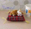 1PC Mini Symulacja Pluszowa Cat Pluszowa zabawka Śliczna zabawka LDREN Creative Plusze Prezent dla LDren Car Dekoration J220729