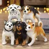 3D Simülasyon Köpek Husky Peluş Bebek Köpek Sarılmalar Karikatür Akita Dalmatian Peluş Köpek Fotoğrafçılık Props Çocuk Noel Hediyesi J220729