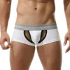 Culotte creuse respirante culotte Sexy hommes classique Boxer tronc Micro poche taille basse sous-vêtement transparent exposé pénis boxeurs