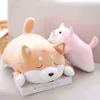 3555Cm Cute Fat Shiba Inu Dog Cuddle Cartoon Animal Soft Pillow Toy Gift For ldren baby ldren Hot Cuddle J220729