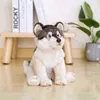 38 cm niedliche Simulation Wolf Plüschspielzeug Wolf Hund Kinder Puppen lebensechte Haustier weiche Anime Dekor Kollektion Spielzeug für LDREN Kids J220729