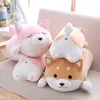 3555Cm Cute Fat Shiba Inu Dog Cuddle Cartoon Animal Soft Pillow Toy Gift For ldren baby ldren Hot Cuddle J220729