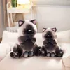 4050 cm Livsliknande Siamese Cats Cuddle Simulation American Shorthair Söt kattdocka Pet Toys Home Decor Gift for Girls Birthday J220729