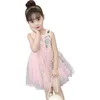 Vestidos de menina princesas crianças meninas meninas vestidos de renda com flor de tule tule tule bhistening vestidos tutu para bebês no 1º aniversário roupas de criança batismo cosutme