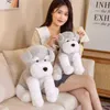 3545cm kawaii schnauzer pluche speelgoed heerlijk gevulde zachte dieren kussen simulatie poppen ldren meisjes verjaardag kerstcadeau j220729