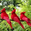 Christmas Decorations Practical 12Pcs Clipon Artificial Red Ornaments Feathered Bird Xmas 221123