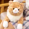 70 cm simulerade shiba inu husky isbjörn katt peluche leksak fylld mjuk djurkudde vackra hunddockor för ldren baby gåvor j220729