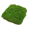 Fleurs décoratives Herbe Artificielle Simulation Mousse Pelouse Gazon Faux Tapis Vert Intérieur Extérieur DIY Fée Jardin Paysage Décoration de La Maison