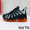 2023 Hot TN Plus Kids Boys Boys Girls Running Shoes Sea Triple Black White Multicolor Voltage Purple Bumblebee Be True Trainers Sneakers Size 24-35