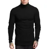 Men's Sweaters Soft Warm Knitted Sweaters Men Casual Stretchy Fitness Hiking Tops Turtle Neck Long Sleeve Pullover Slim Fit Sweater Man TShirt 221123