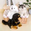 38cm urocza symulacja wilka pluszowe zabawki wilk pies dla dzieci lalki realistyczne wypchane miękkie anime Decor kolekcja zabawek dla ldren dzieci J220729