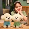 1PC 253545cm Kawaii Teddy Dog Plush Toy Beautiful Animal Dog Wears Seater Dolls Soft Sifted Cushion for Ldren Birthday Decor J220729