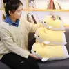 Babiqu 1Pc 3060Cm Cute Corgi Dog Cuddle Stuffed Soft Animal Cushion Beautiful Cartoon Doll For kids Kawaii Birthday Gift Present J220729