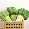 1PC 5565cm Cartoon Végétable Cuddle Creative Broccoli PLUSH PILLOW LDREN COUDDLES LDREN CADEAU ANNIVERSAIRE WJ126 J220729