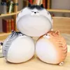 3050Cm Cute Fat 3D Cats Cuddly Animal Duplex Printed Cats Doll Soft Cushion Seat Cushion Gift For ldren Girls Baby J220729