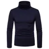 Suéter dos homens Outono Inverno Tops Moda Mens Casual Slim Fit Básico Turtleneck Camisola de Malha Gola Alta Pulôver Masculino Duplo M-2XL 221124