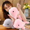 Super Doux 30Cm 1Pc En Peluche Animaux De La Mer Dauphin Poupées ldren Doux En Peluche Peluche Beaux Enfants Brinquedo Cadeaux D'anniversaire J220729