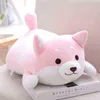 3555Cm Mignon Graisse Shiba Inu Chien Câlin En Peluche Doux Kawaii Animal Belle Bande Dessinée Oreiller Pour Ldren Bébé Ldren Cadeaux D'anniversaire J220729