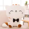 Poupées en peluche 20CM mignon Kawaii gros visage chat jouets doux poupée coussin canapé oreiller fille cadeau enfants fête décor animaux en peluche 221125