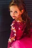 2023 Fuchsia Flower Girl -jurken Prinses Lange mouwen Lace Crystal kralen Bloemen Gilrs Pageant Jurk Little Kids First Communion Dress Sweep Train over Skirts