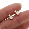 Boucles d'oreilles à clous en opale de feu blanche, en pierre Cz, simples, pour filles, multi-perçage, Mini clous