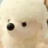 1pc 25cm Kawaii Teddy Dog Plush Toy美しいぬいぐるみReal Life Poodle Dolls for Ldren Baby Birthday PresentsクリスマスギフトJ220729
