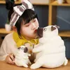 1530 cm super słodkie tłuste psy przytulane kawaii siedzą nadziewane lalki amortyza