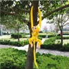 Plush Dolls 20 Styles 6070 cm Monkey Curtain Baby Exping Expase Animal Long Arm Tail toy muticolor toy 221125