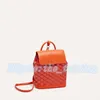 Классический рюкзак рюкзак роскошные монеты школьные сумки женская тотация роскошные дизайнеры мужские сумки на плече мод