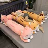 The Cat Hamster Sleep Pillow Long Pillow Cute Pop Girl Cuddle Lazy Man Bed On The Big Pop Cute Comfortable 75100Cm J220729