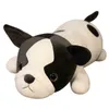 Mensonge Bouledogue Français 80120Cm En Peluche Jouet Homme Géant Chien Chiot Animal Poupée Doux Long Sommeil Oreiller ldren Filles Cadeau J220729