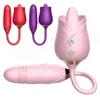 Vibrateurs 2022 New Rose Girl Anniversaire Cadeau d'anniversaire Massage USB Charge Vibrant Oeuf Masturbation Sex Toys G Spot Vibrateur 1115
