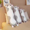 Brinquedos de pelúcia de gato de gato de gato dinossauro fofo criativo long longa brinquedo de brinquedo esbranquiçado travesseiro de dormir preenchido para dormir para ldren j220729