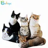 50Cm Cute Lifelike 3D Cat Plush Toy Filled Soft Animal Doll Simulation Sleep Pillow Sofa Cushion Cartoon Doll Home decor Gift J220729