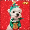 Abbigliamento per cani Abbigliamento per cani Cappello natalizio Berretto per animali Sciarpa Bavaglini Babbo Natale Elk Simpatico costume cosplay Vestito per cagnolini di taglia piccola e media Copricapo Dhyhy