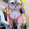 Hundekleidung Haustierpullover helle Farbpapler Katzen warmes Kapuzenmantel -Outfit Sweatshirt Langlebig